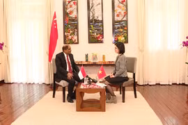 Vietnam – a magnet for Singaporean investors: Ambassador