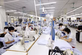 Hanoi: Newly-established enterprises up 6% in 10 months