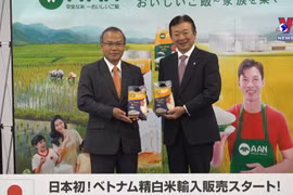  Vietnam’s ST25 rice enters Japanese market