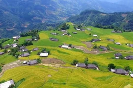 Ha Giang tourism to be promoted virtually
