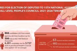 Figures for elections of deputies to National Assembly and People's Councils