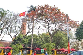 Hanoi among most favoured destinations in Southeast Asia: Travelbook