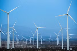 Business community strives toward green growth