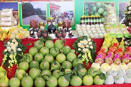 Bac Giang promotes high quality OCOP products