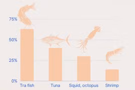 Tra fish exports post strongest growth among fishery products