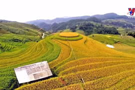 Yen Bai preserving and promoting cultural heritage values
