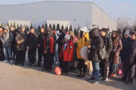 Overseas Vietnamese promoting solidarity during conflict in Ukraine