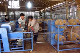 Ben Tre hopes to earn 190 million USD from exports in Q4 