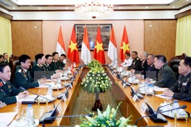 Vietnam, Indonesia rejoice at thriving defence relations
