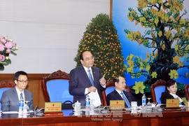 Efforts to ensure safe Tet hailed