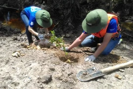 WWF, Intel start wetland reforestation project