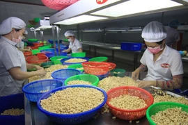 Vietnam continues enjoying trade surplus with Canada 
