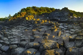 Ghenh Da Dia - unique rock columns on Phu Yen shore