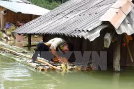 Storm-proof housing programme benefits 11,253 needy families