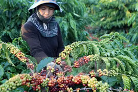 Dak Nong province – future growth pole of CLV Development Triangle