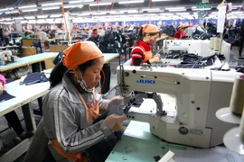 Preferential loans for 15 HCM City firms