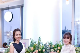 Vietnamese lawyer sells her paintings to raise money for charity 