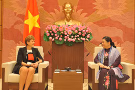 Vietnam, Denmark required to maintain legislative cooperation 
