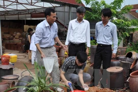 Dengue fever incidence spirals in Khanh Hoa