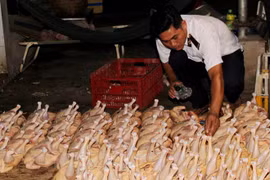 Due attention needed for food safety management