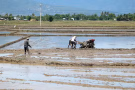 Vinh Long province invites investment in agriculture