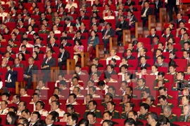12th National Party Congress: Nominations follow regulations 