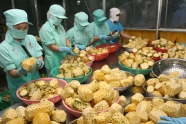 Vietnam’s exports reach 96.83 billion USD in seven months