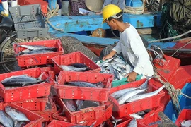 Constant supervision needed in fish death-related compensation