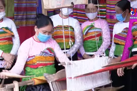 Ethnics keeping brocade weaving alive