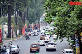 Green-lined roads cool scorching hot days in Ho Chi Minh City