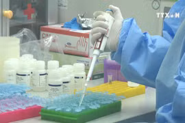 WHO lauds Vietnam's efforts in isolating new coronavirus