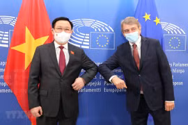 Top leaders of Vietnamese, European parliaments hold talks