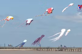 Festival honours national flute kite flying