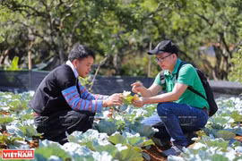 Project promotes sustainable livelihood for farmers