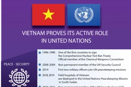 Vietnam proves its active role in UN