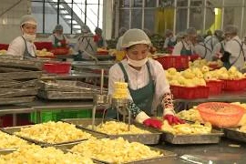 Vietnam’s export to China up in Q1 despite COVID-19