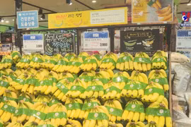 Japan increases banana imports from Vietnam