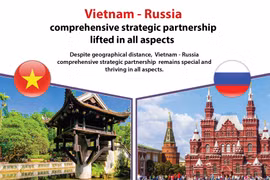 Vietnam-Russia comprehensive strategic partnership lifted in all areas