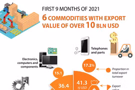 Six commodities with export value of over 10 bln USD 