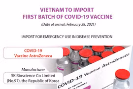 Vietnam to import first batch of Covid-19 vaccine 