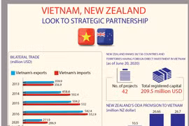 Vietnam, New Zealand look to strategic partnership 