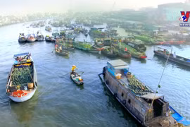 Int’l search volume for Vietnam sharply increases
