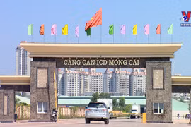 China allows resumption of fresh chili import from Vietnam