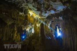 Tra Tu Cave in Ninh Binh province