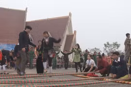 Activities to mark Vietnam ethnic groups’ Cultural Day 