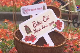 Hanoi tourism introduces new products