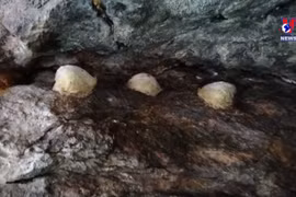 Quang Nam promoting development of swallows on Cham Island