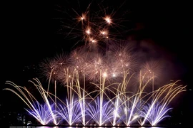 Locals join hands to make city clean during firework festival