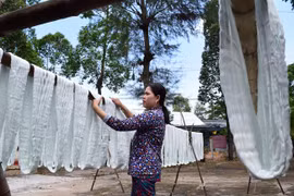 Revival of scarf weaving village in Dong Thap 
