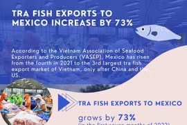 Tra fish exports to Mexico increase by 73 percent 